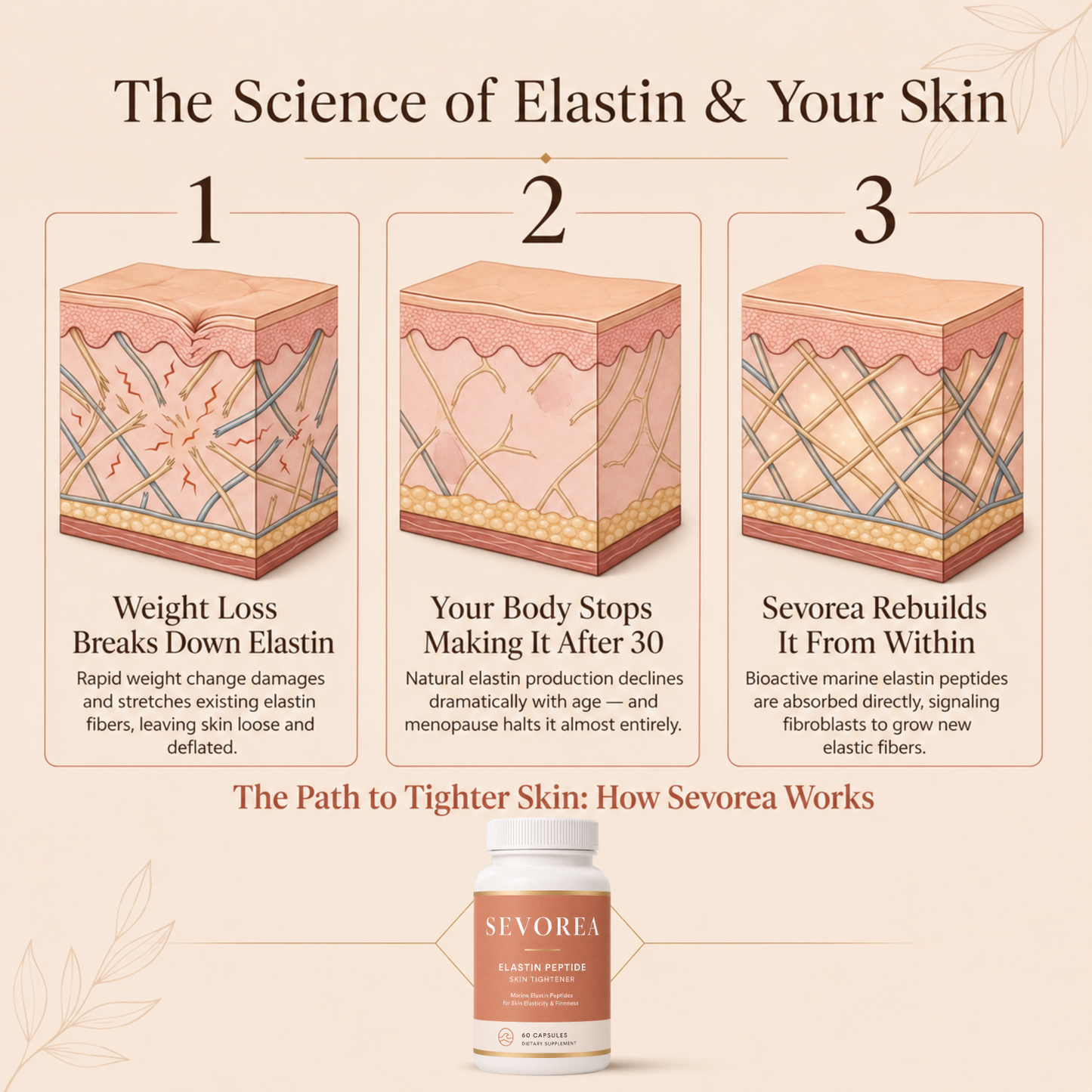 Sevorea™ Elastin Peptide Formula